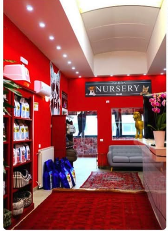 L'interno del salone Pet & Wellness a Faloppio con area Nursery