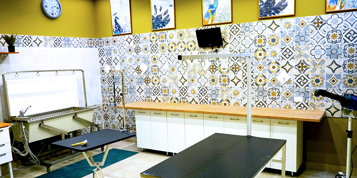 Cabina SPA del salone Pet & Wellness