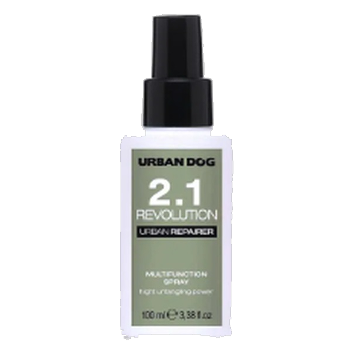 2.1 Revolution — Urban Repairer